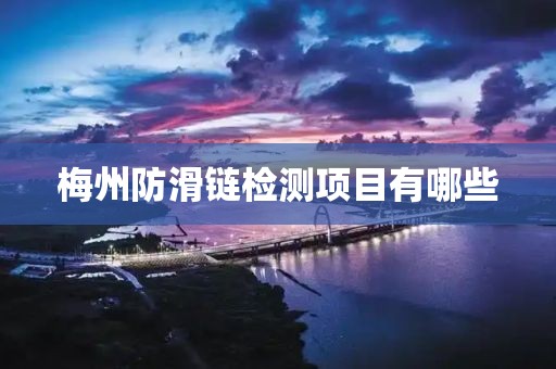 梅州防滑链检测项目有哪些